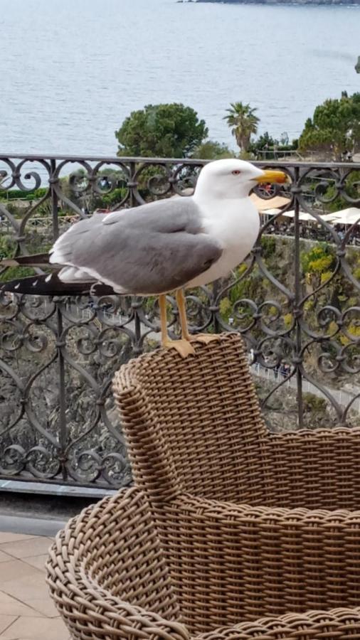 Alla Porta Rossa Manarola Kültér fotó